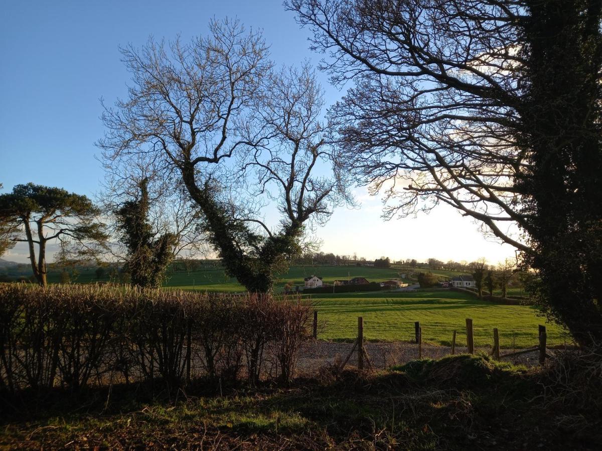 Derrywilligan Guest Accommodation Bessbrook Екстериор снимка
